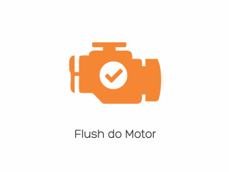 Flush do Motor
